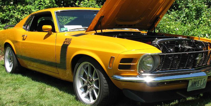 2009-07-05_Perryville_car_show 032_crop.jpg